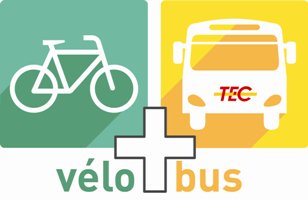 Logo vélo bus TEC