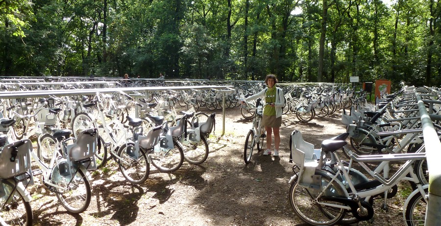 Les vélos blancs du parc De Hoge Veluwe aux Pays-Bas